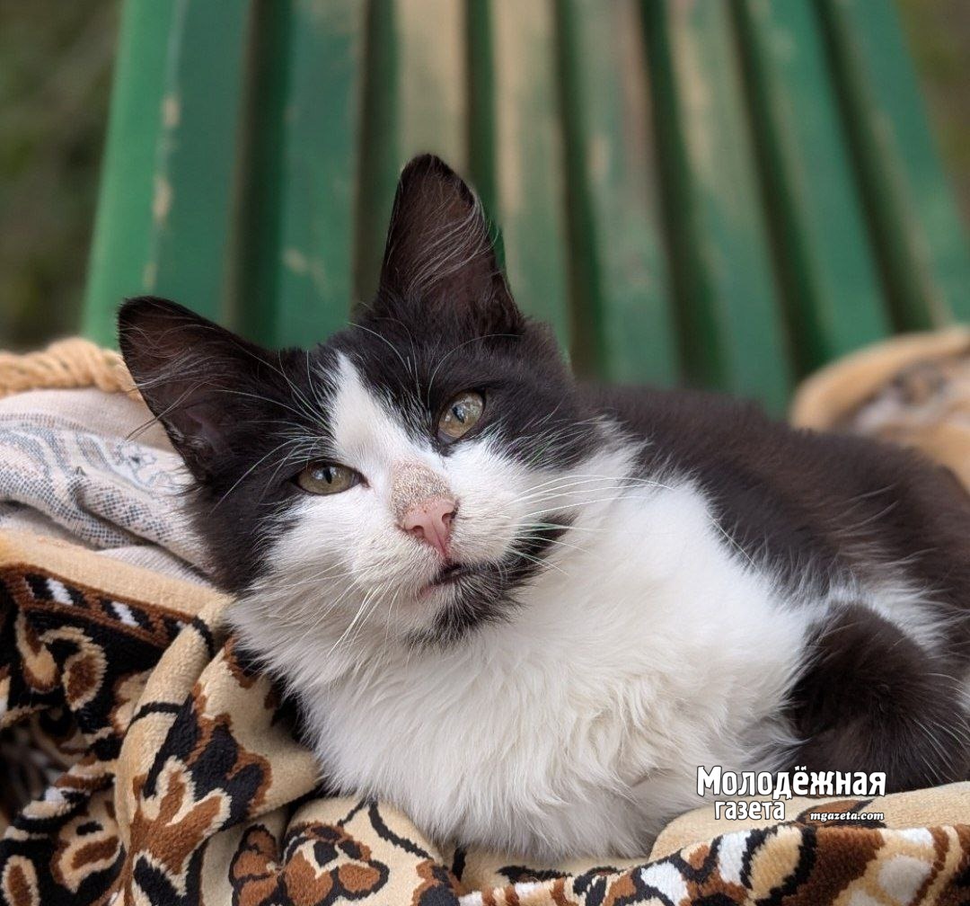 Невидимые бойцы. Те, кто греет душу, когда кругом холод