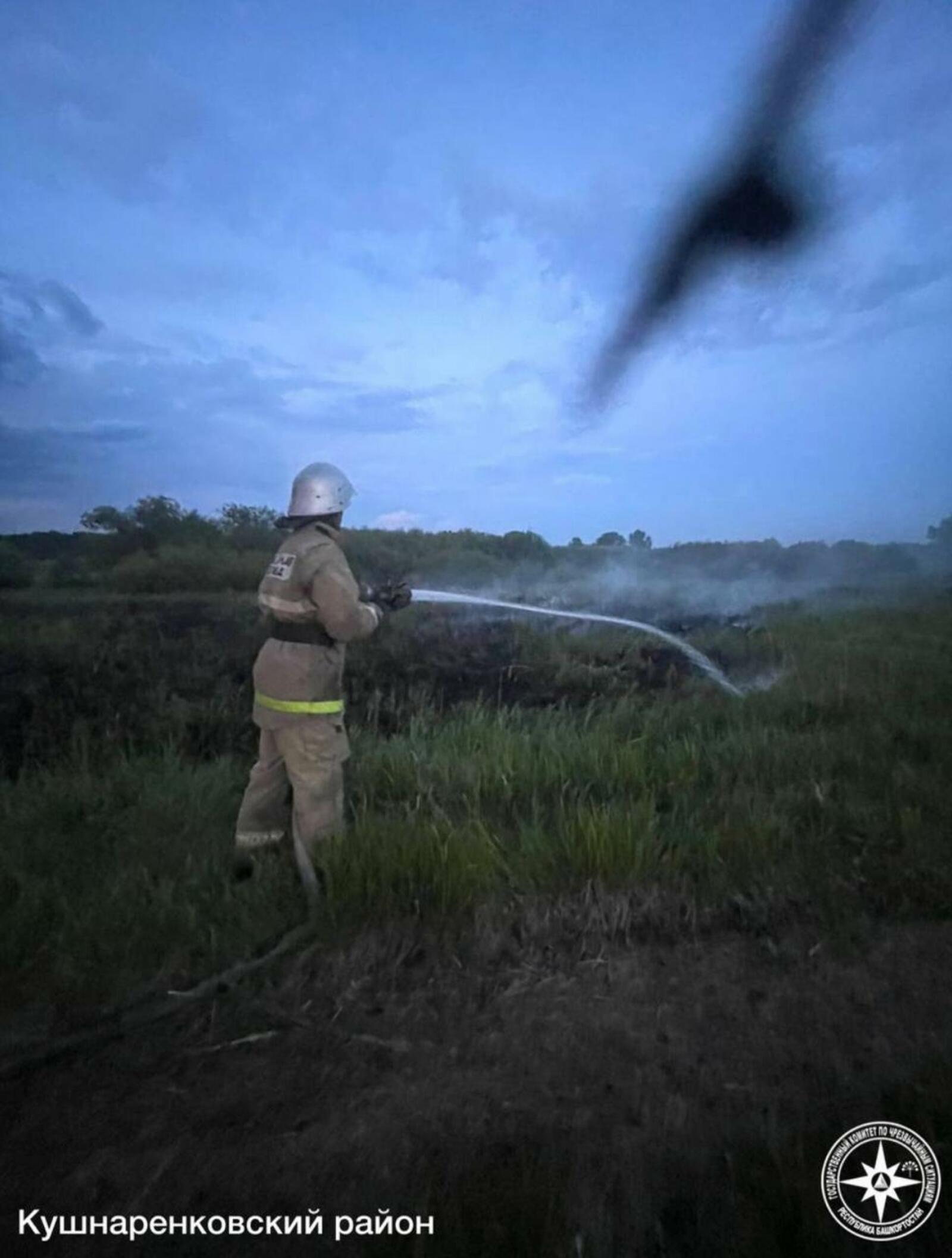 За сутки в Башкирии зарегистрирован один лесной пожар