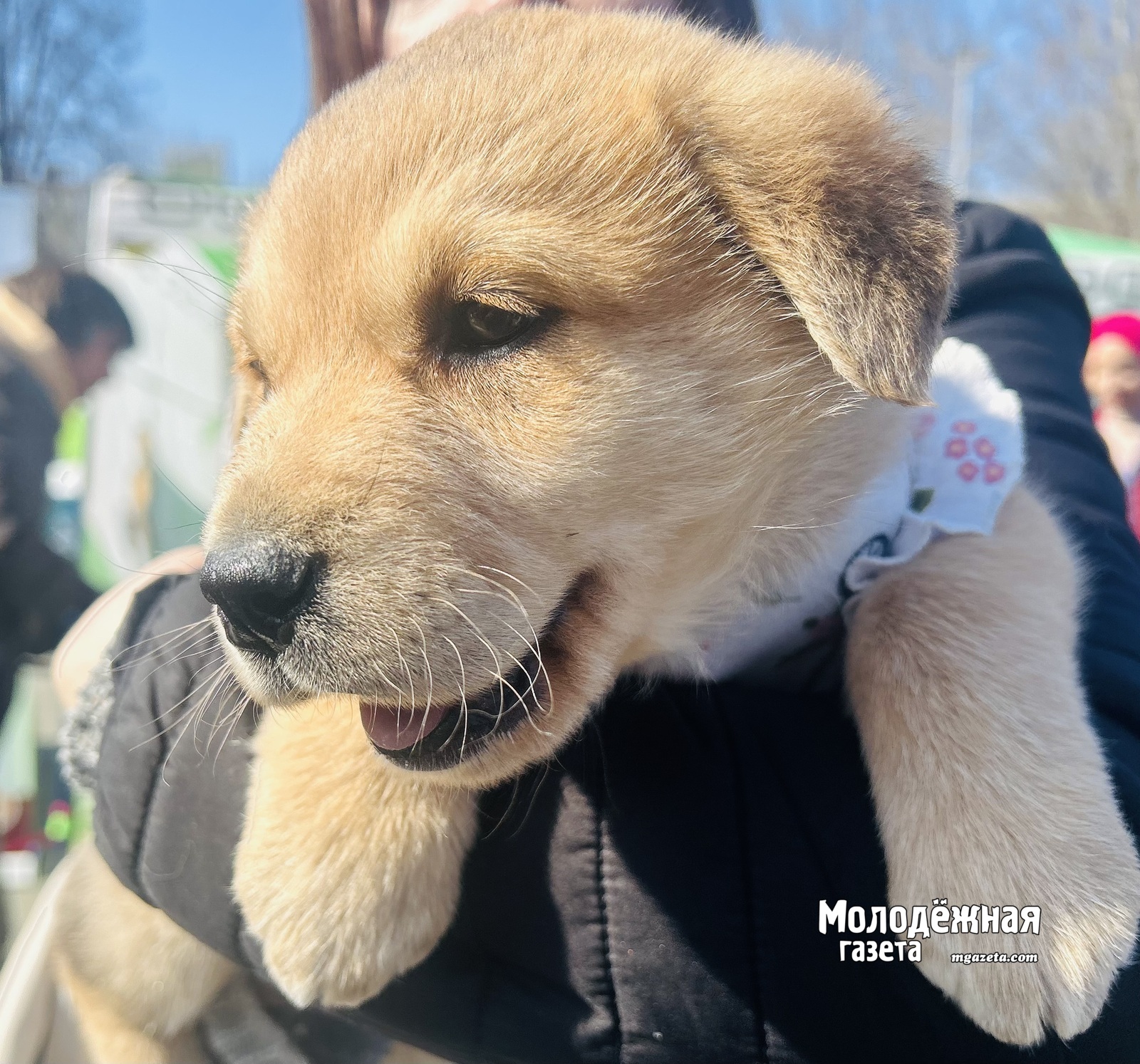 Уфа добрая: в столице Башкирии проходит акция «Ищу человека»
