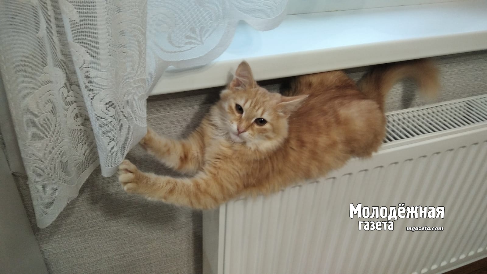 Стало известно, когда в Башкирии выключат отопление