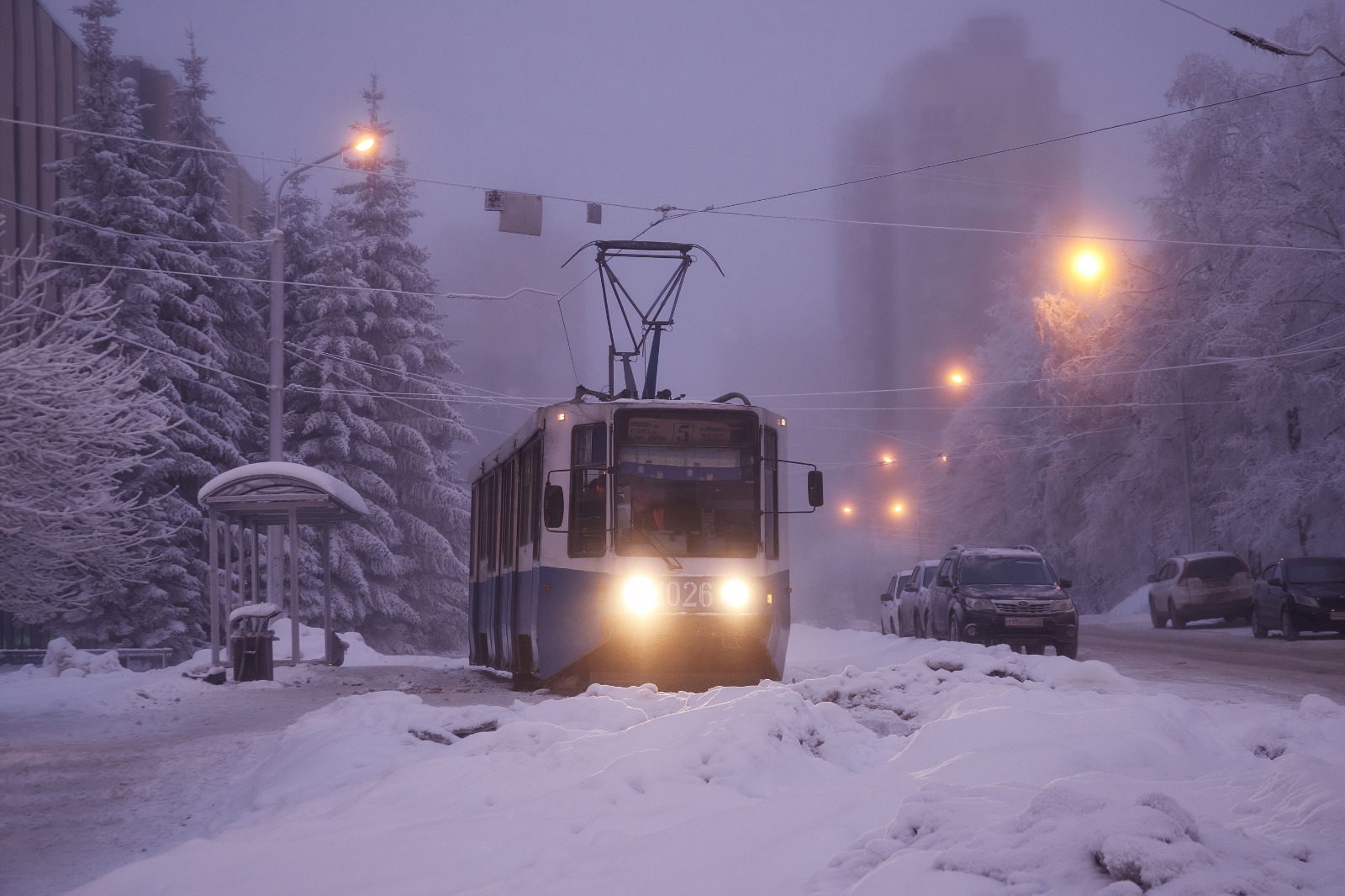 Александр Королев