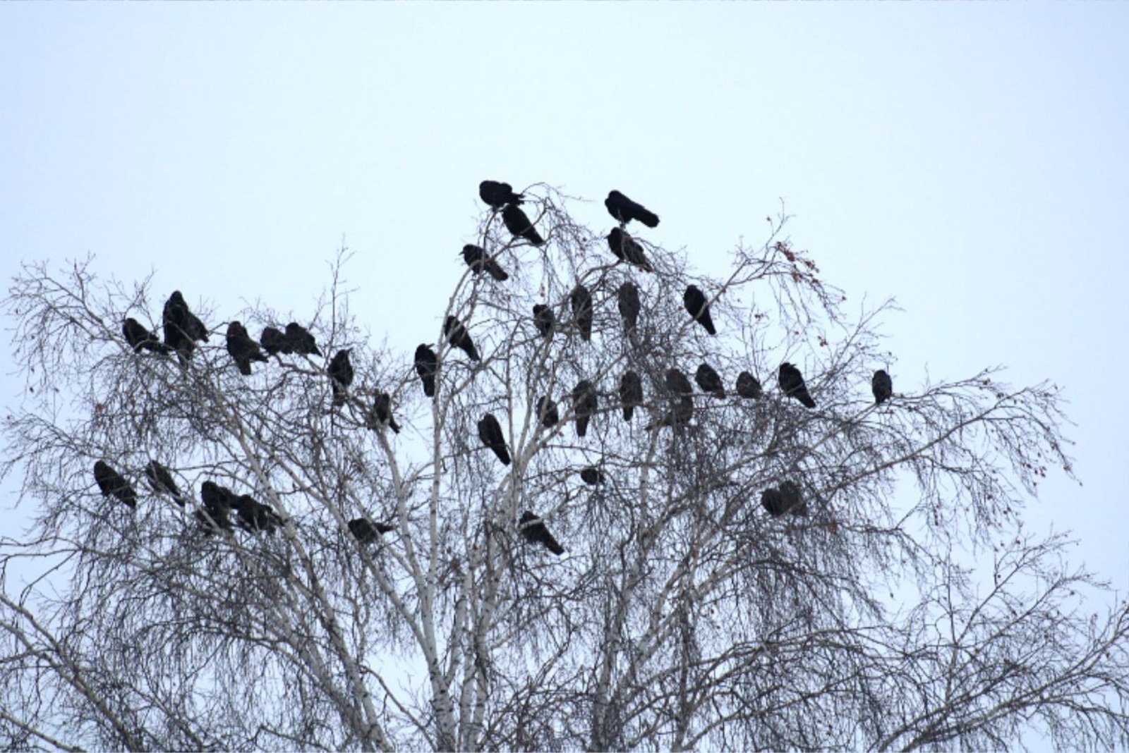национальный парк «Башкирия»