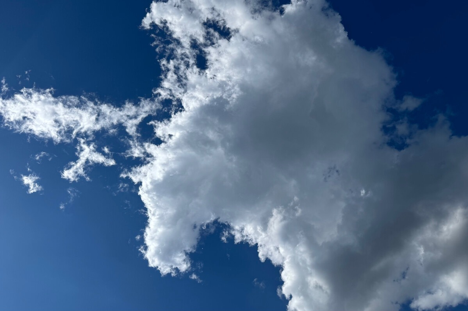 Олеся Вильданова fotobank02.ru