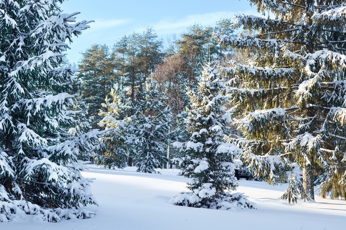 За первую неделю января в Башкирии выпала треть месячной нормы снега