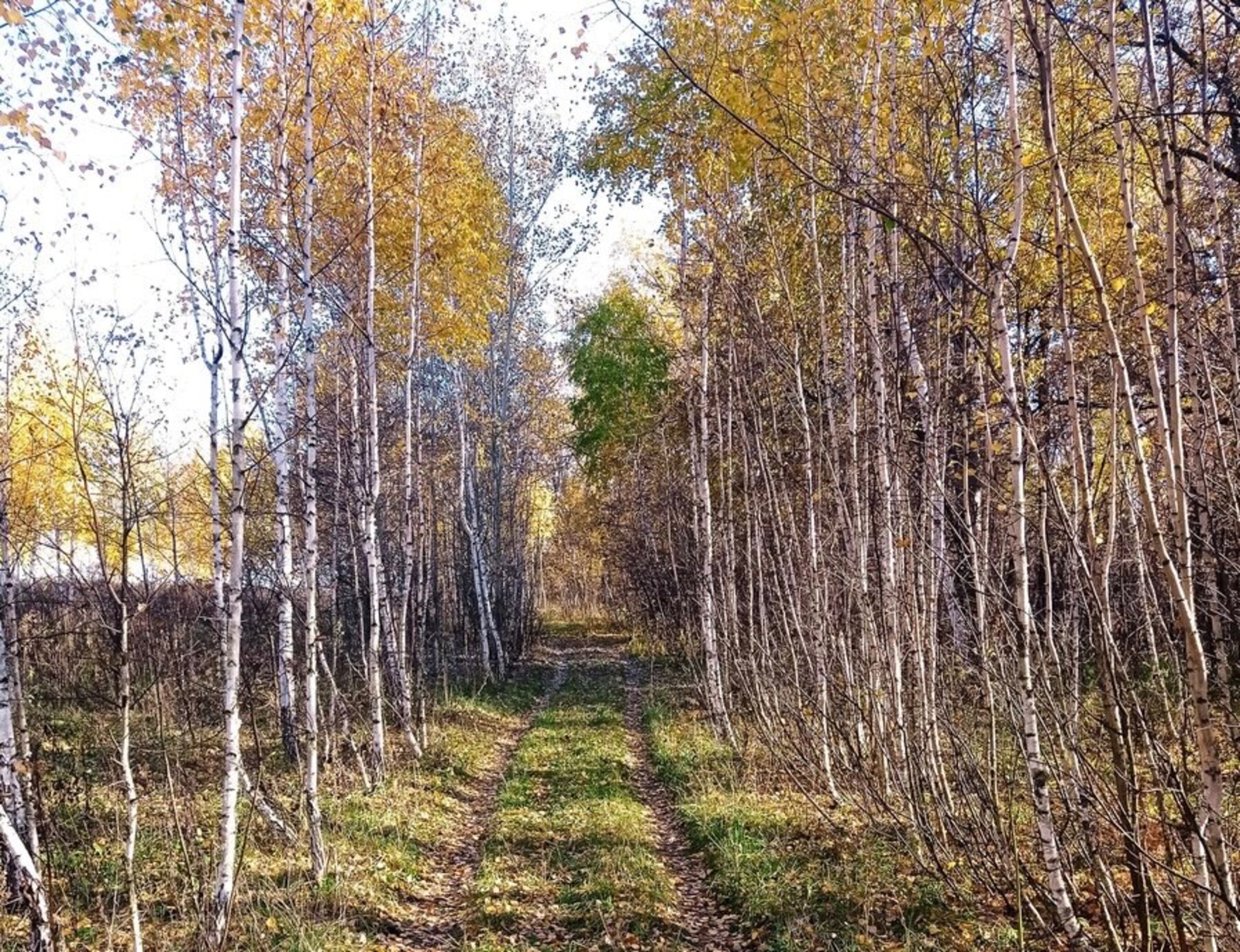 Азамат Абдрафиков  fotobank02.ru