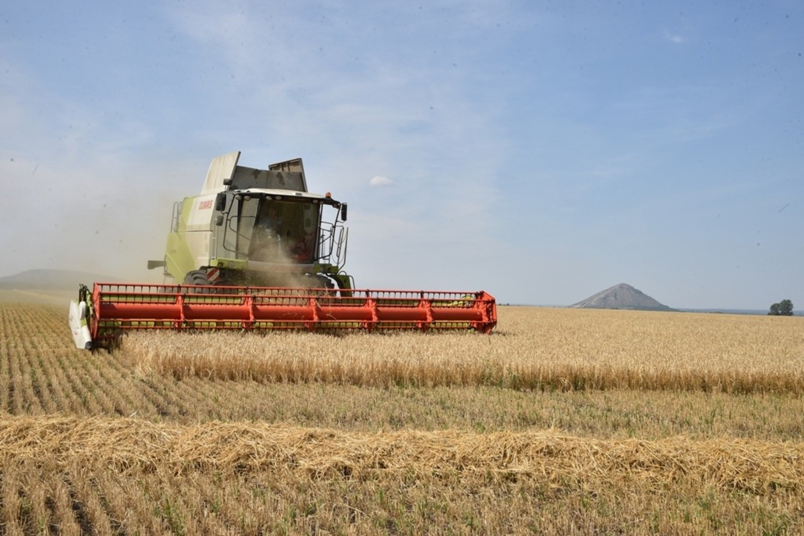 Динар Калимуллин fotobank02.ru