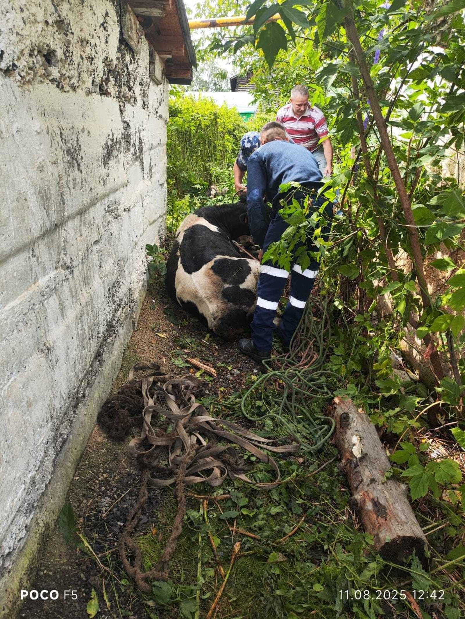 госкомитет РБ по ЧС