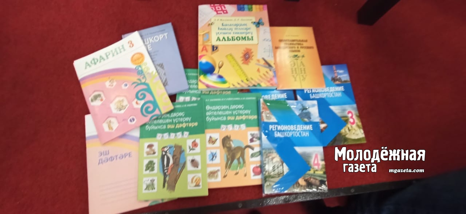 В Башкирии запустили флешмоб, посвященный Международному дню родного языка