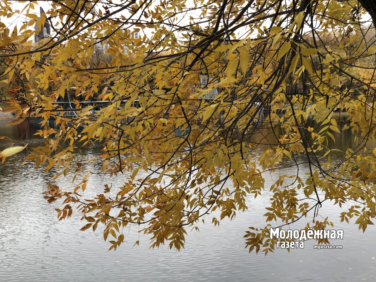 Минземимущество Башкирии проведет обучающие семинары для сотрудников МФЦ