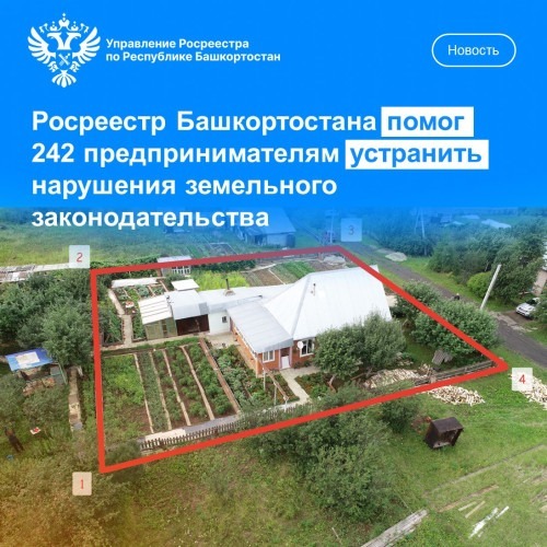 Росреестр Башкирии помог 242 бизнесменам исправить нарушения