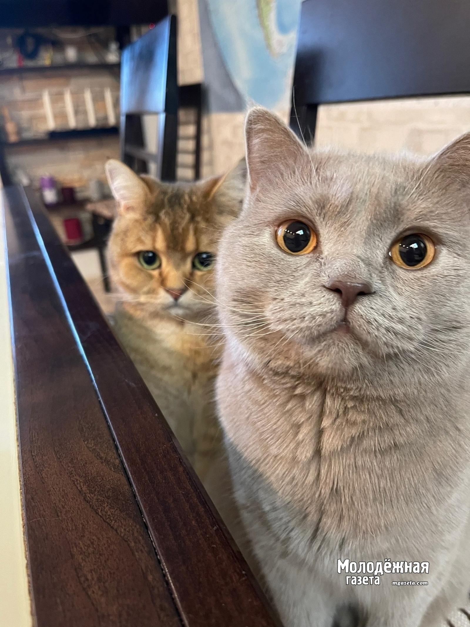 Прогноз синоптиков: резкое похолодание, возможен снег в Башкирии