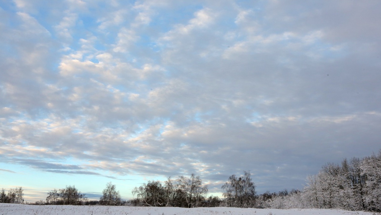 Александр Данилов fotobank02.ru