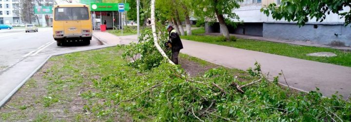 В Уфе упавшие из-за сильного ветра деревья повредили автомобили