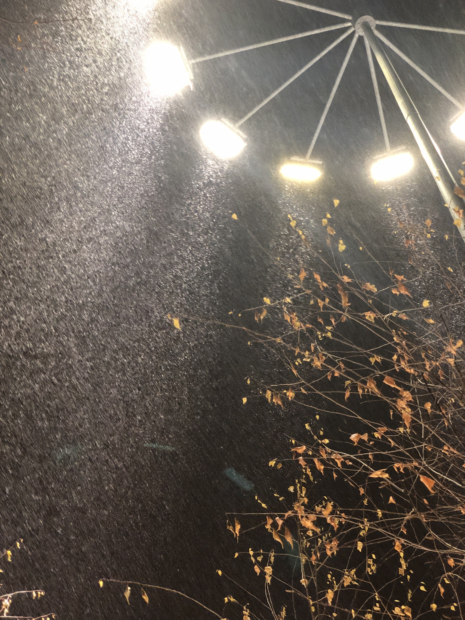 В Башкирии ожидаются дожди, грозы и сильный ветер