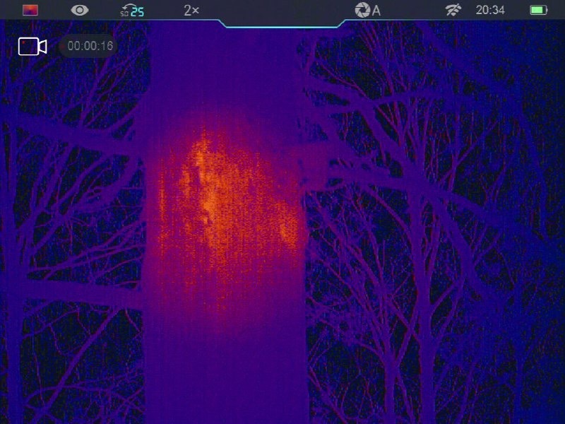 В заповеднике Башкирии пчёл проверяют тепловизором