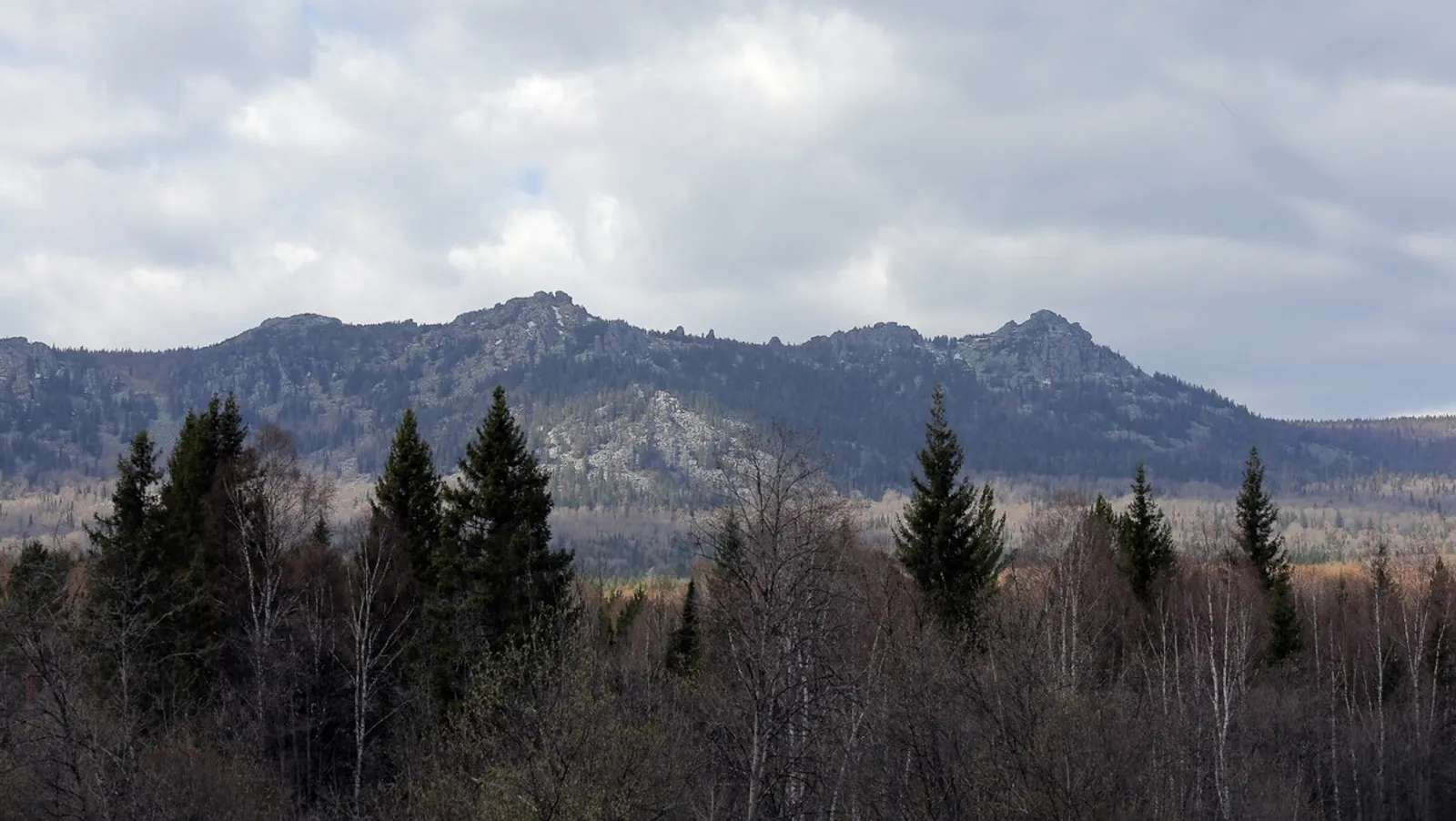 Александр Данилов fotobank02.ru