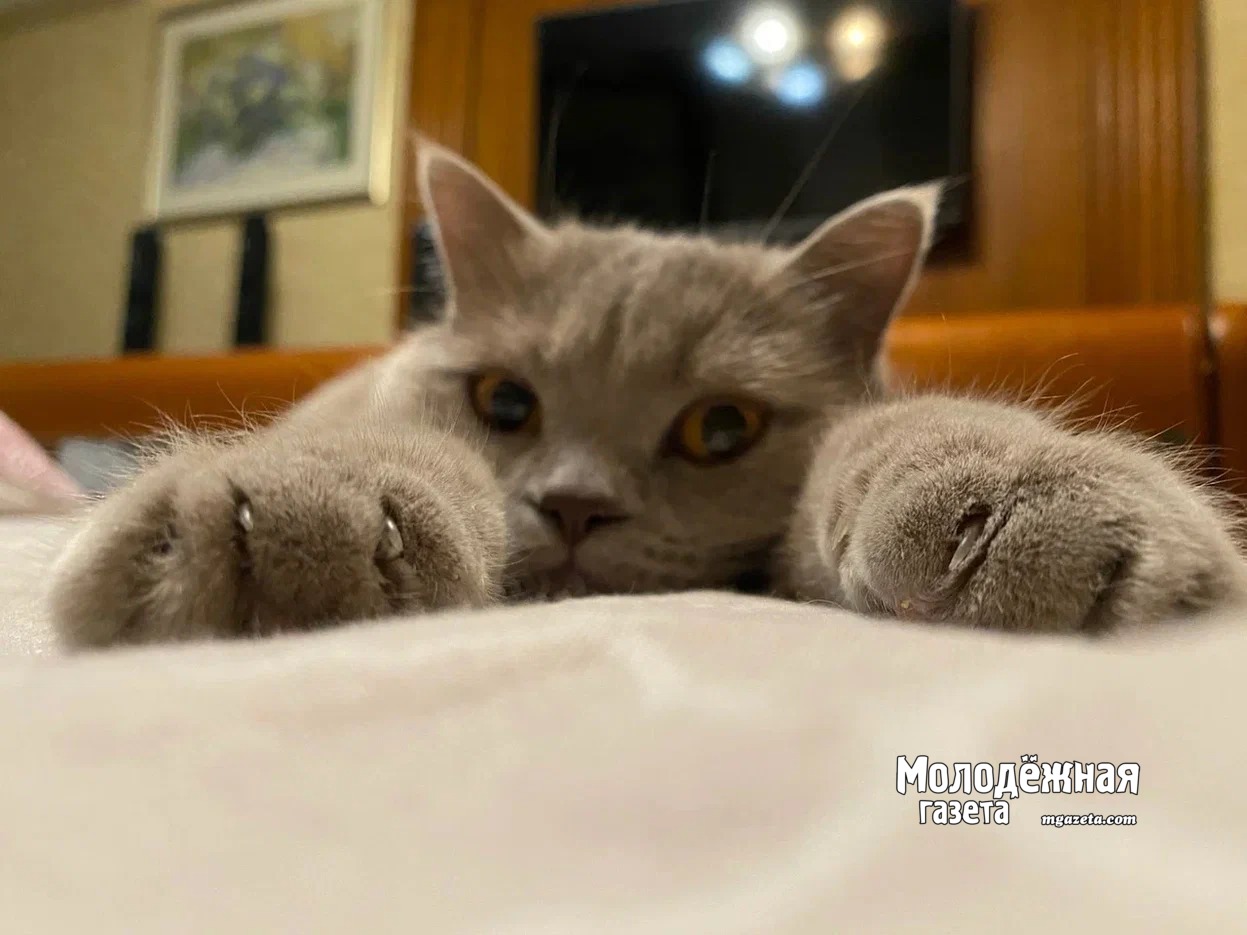 В Башкирии прогнозируют понижение температуры до -1С