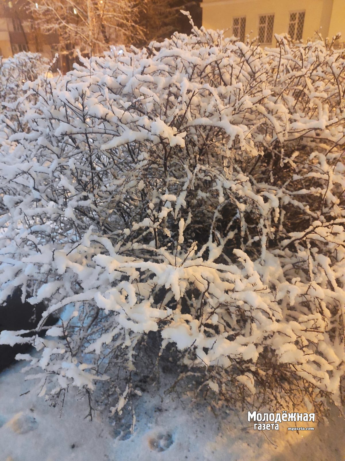 В Башкирии потеплеет до 1 градуса