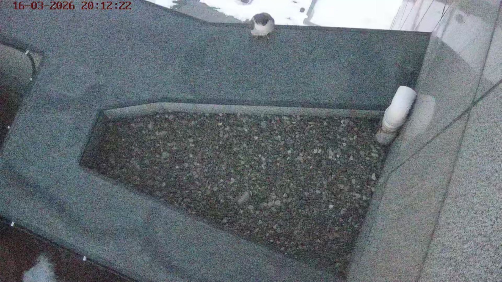 банк «Уралсиб» | пресс-служба