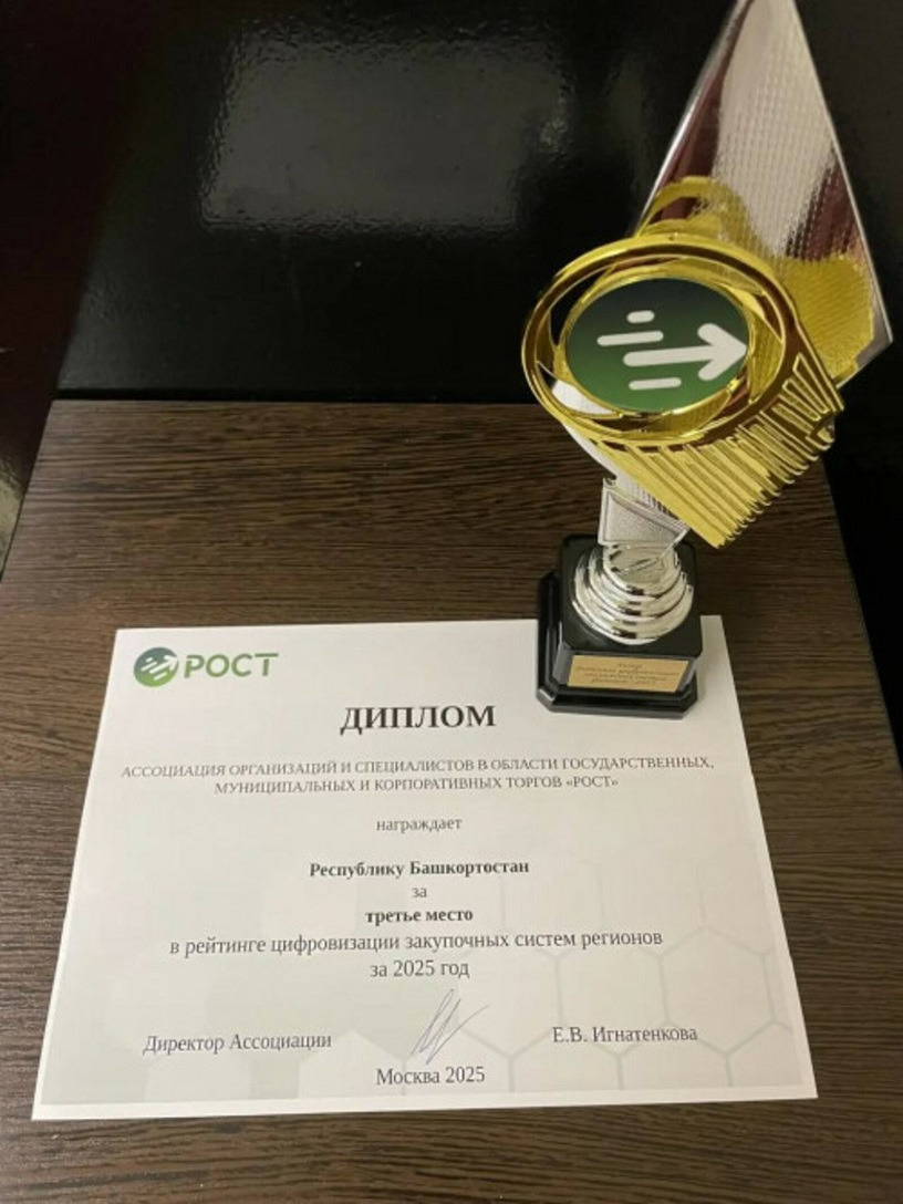 ТОП-3 в цифровизации: Башкирия стала лидером закупок России