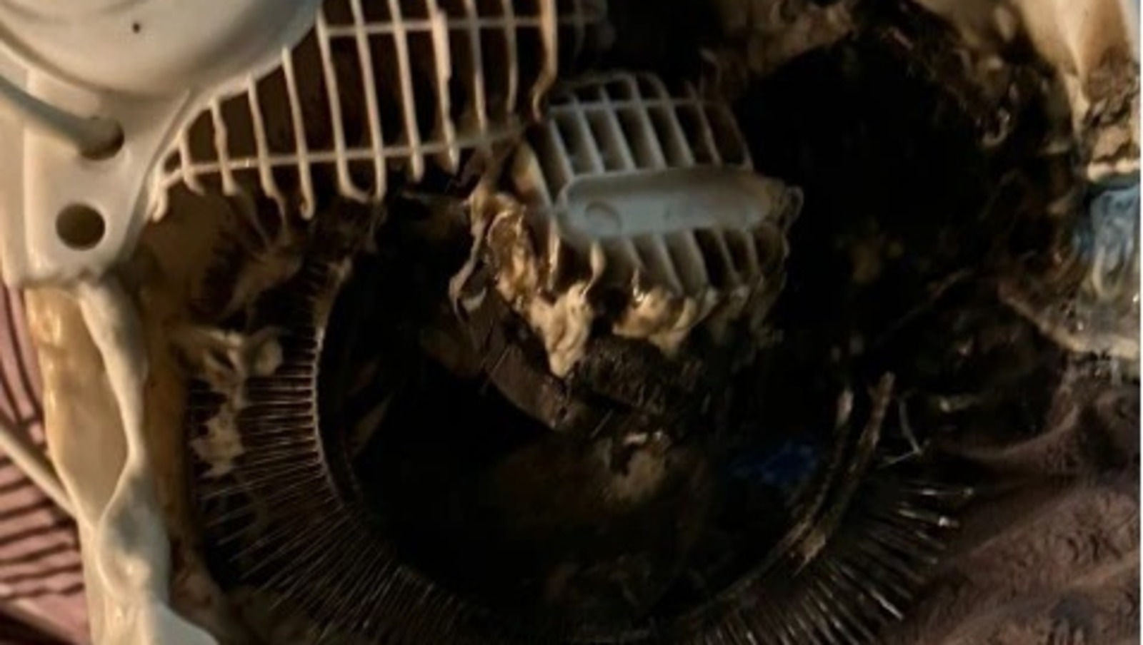 Фото: МЧС по РБ.