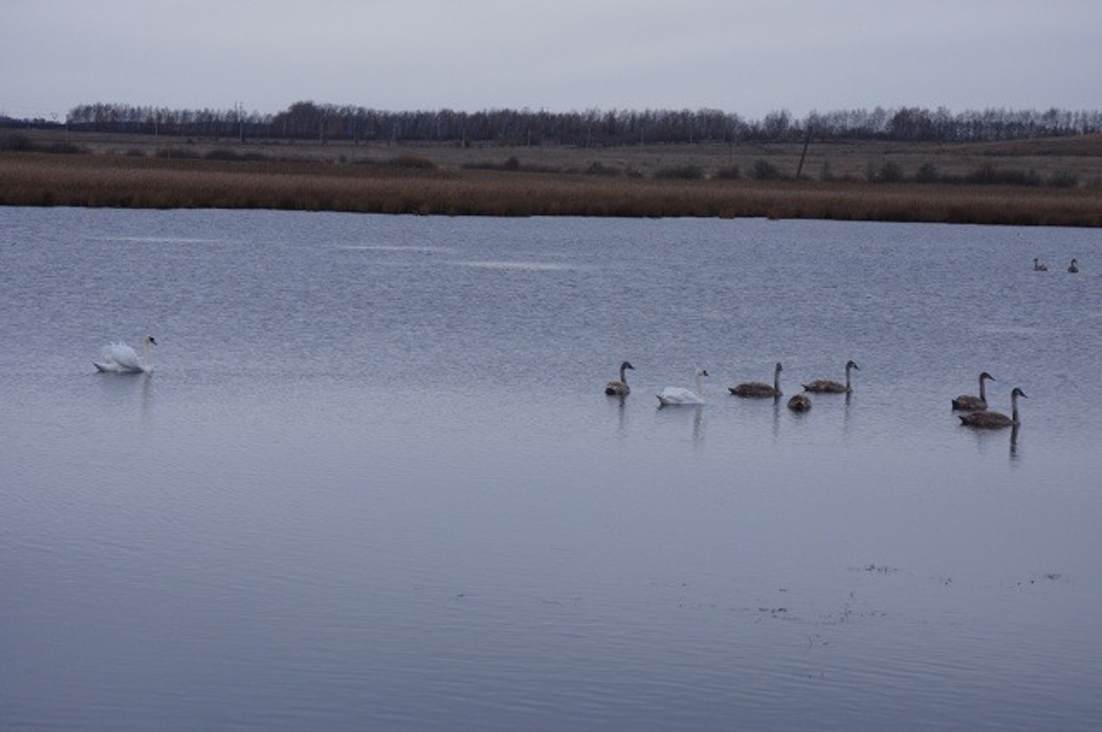 Фото: ВК Природный парк "Кандры-Куль"