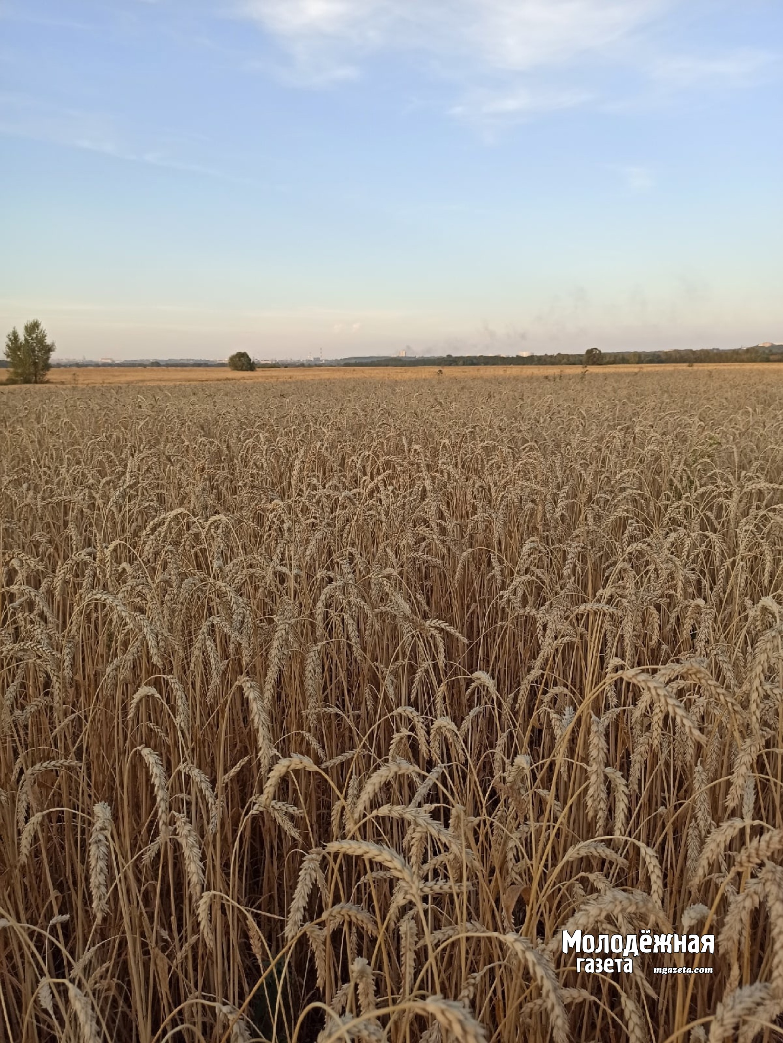 Аграрии собрали 2,25 миллиона тонн зерна в Башкирии