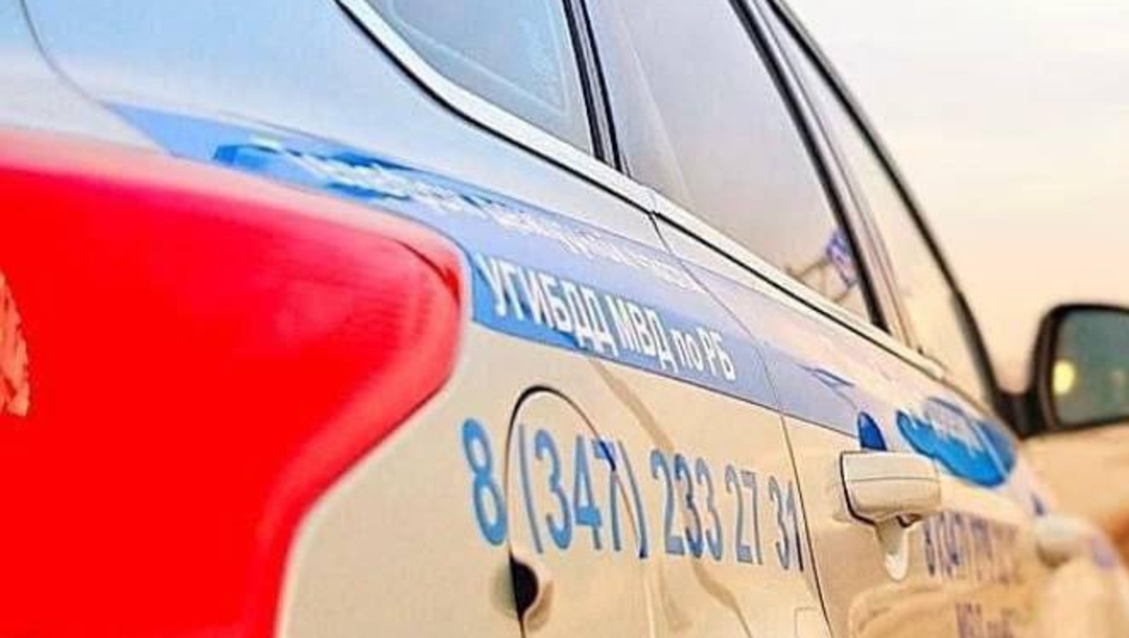 Фото: ТГ канал Владимир Севастьянов