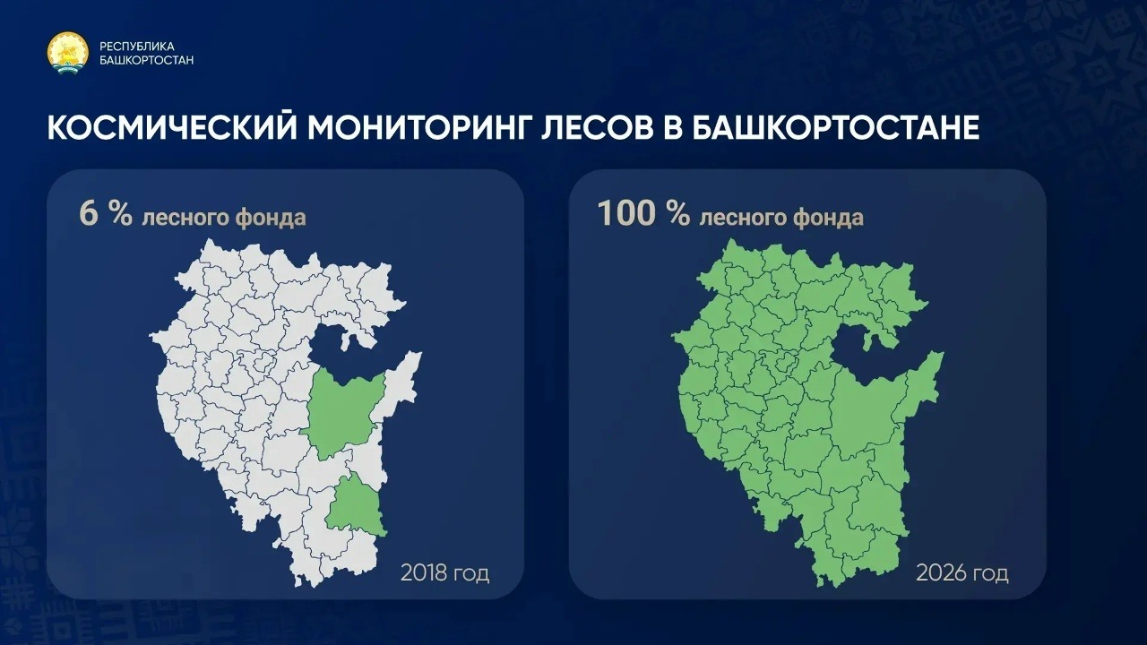 Башкортостан перевел весь лесной фонд на космический мониторинг к 2026 году