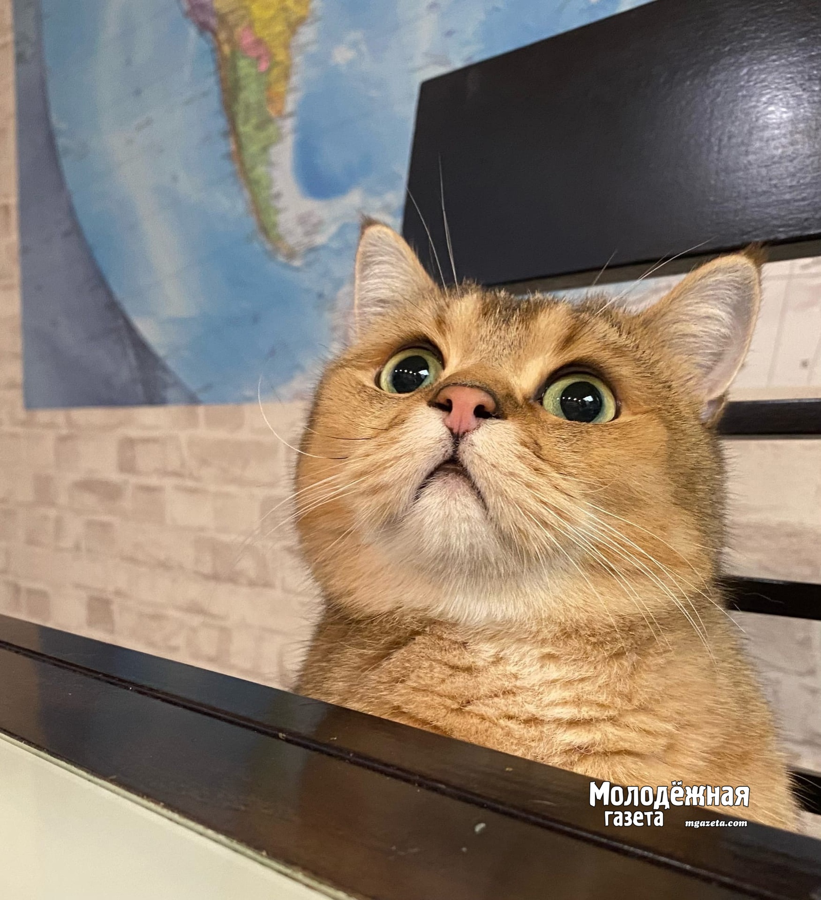 На Башкирию надвигается волна похолодания