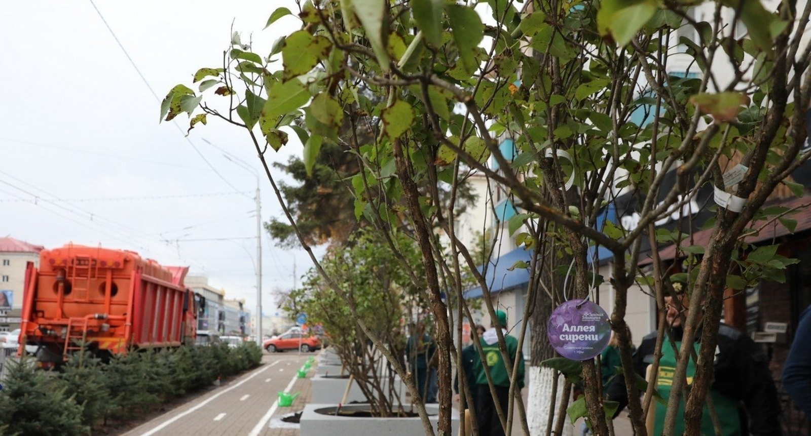 В Уфе высадили почти 400 деревьев и более 1300 кустарников