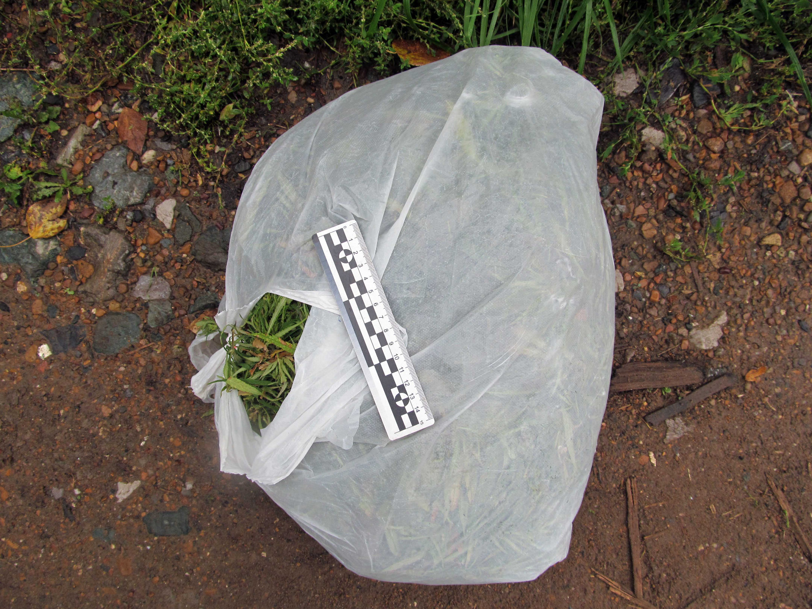 Крупную партию наркотиков изъяли у мотоциклиста в Башкирии