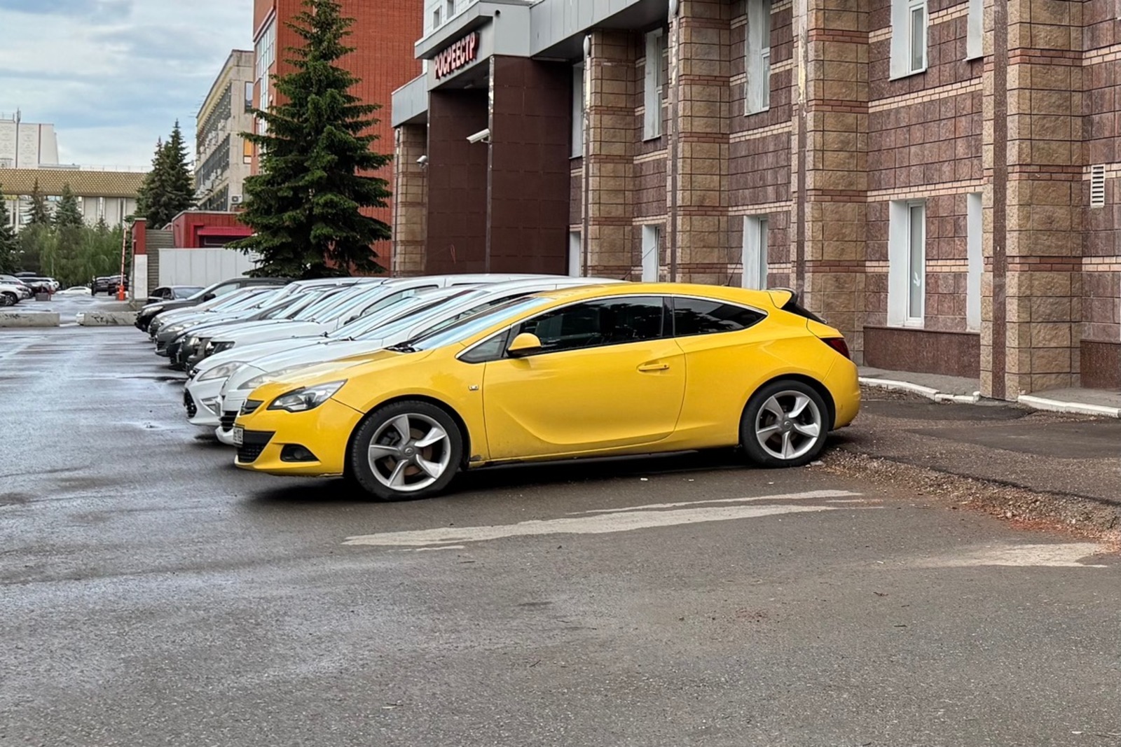 Олеся Вильданова fotobank02.ru