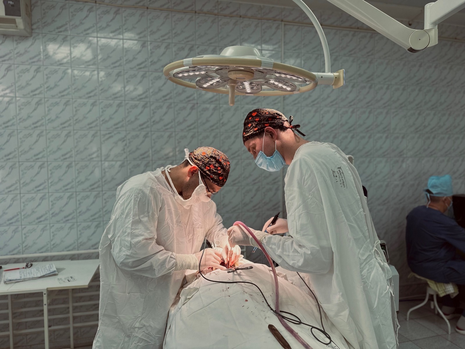 соцсети Алика Янышева