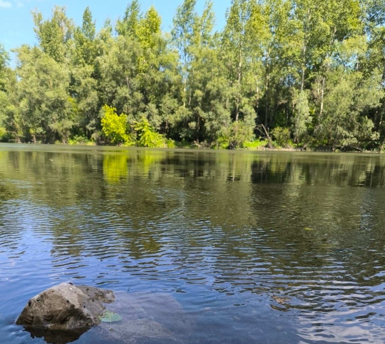 Гульназ Салаватова  https://fotobank02.ru/