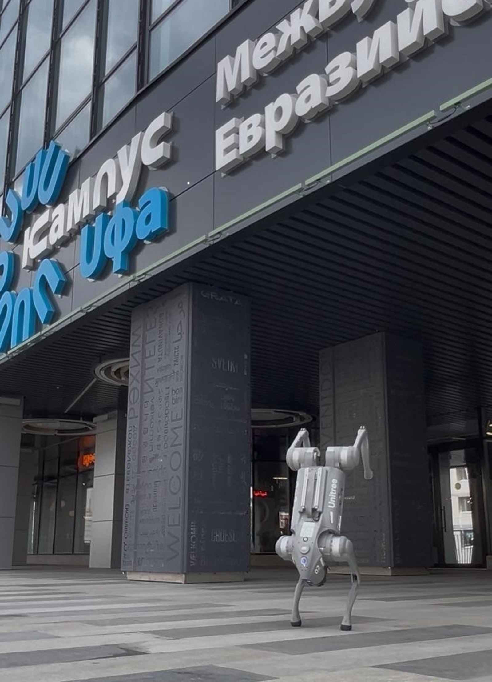 Робособака пробежит дистанцию на Уфимском международном марафоне