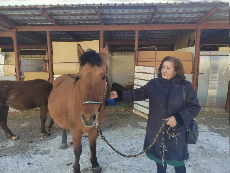 Радий Хабиров рассказал о самом известном популяризаторе башкирской лошади