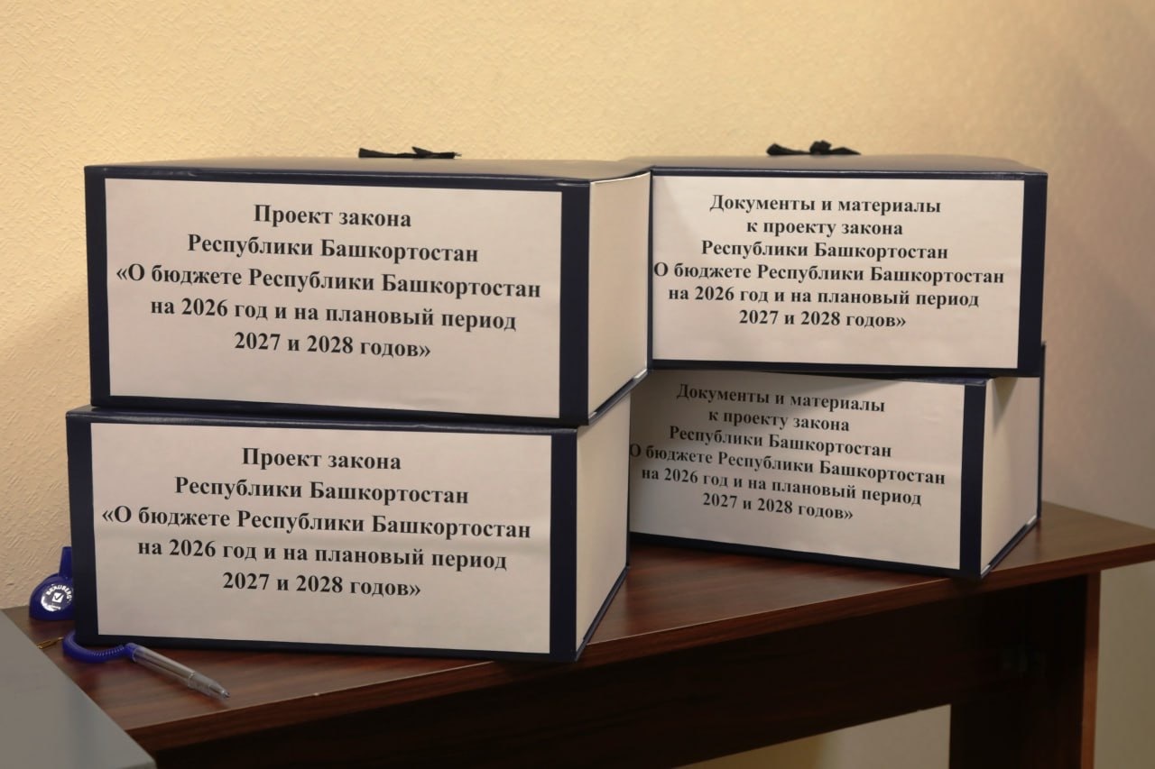 Стали известны народные инициативы для бюджета Башкирии