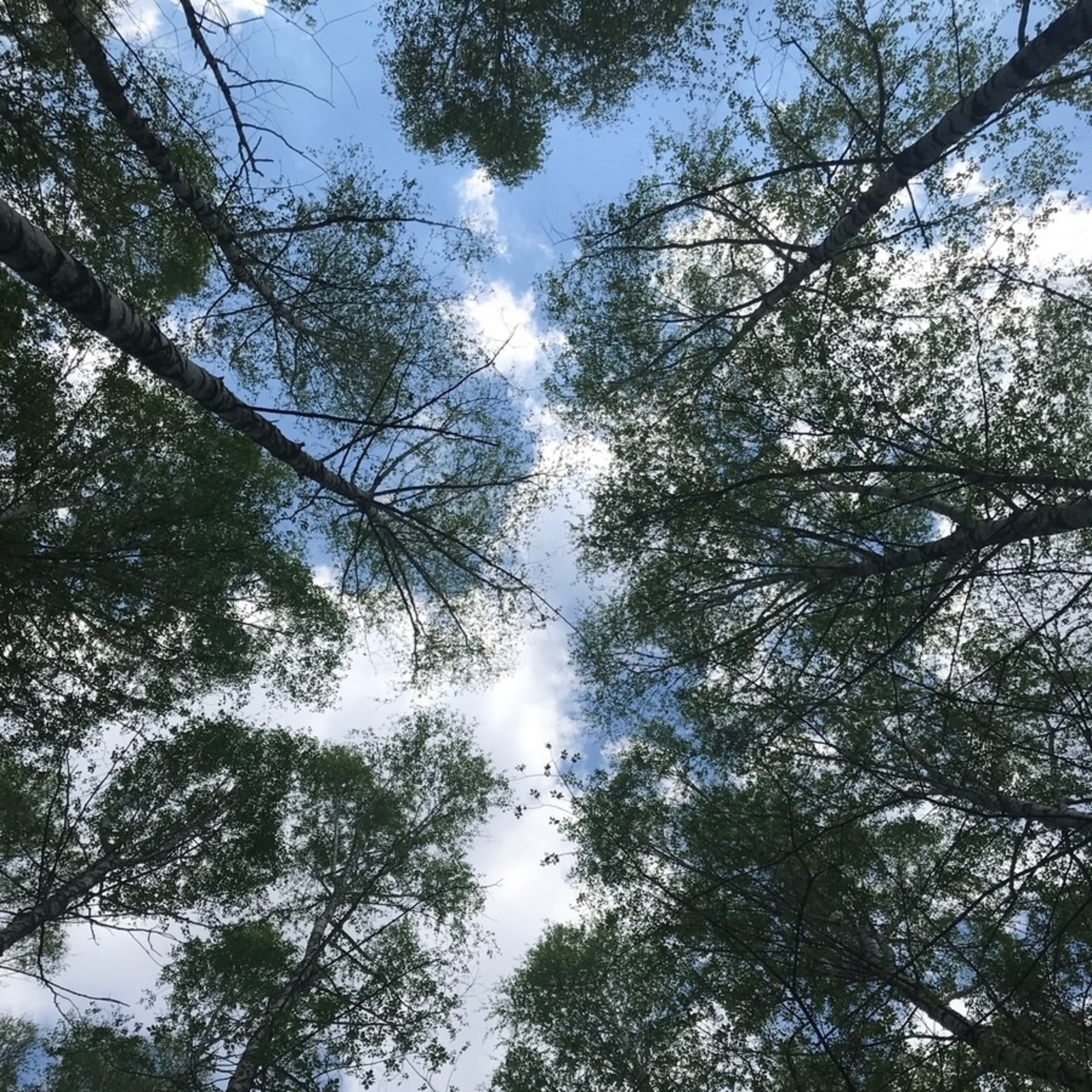 Анастасия Ададурова fotobank02.ru