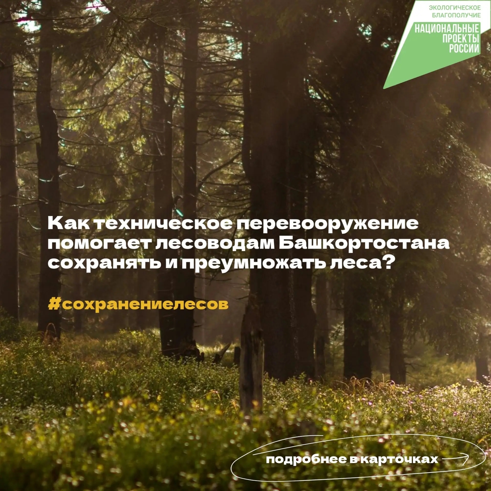 Как техническое перевооружение помогает лесоводам Башкирии