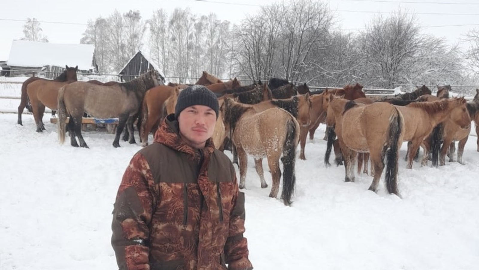 В Караидельском районе Башкирии выращивают лошадей чистокровной башкирской породы