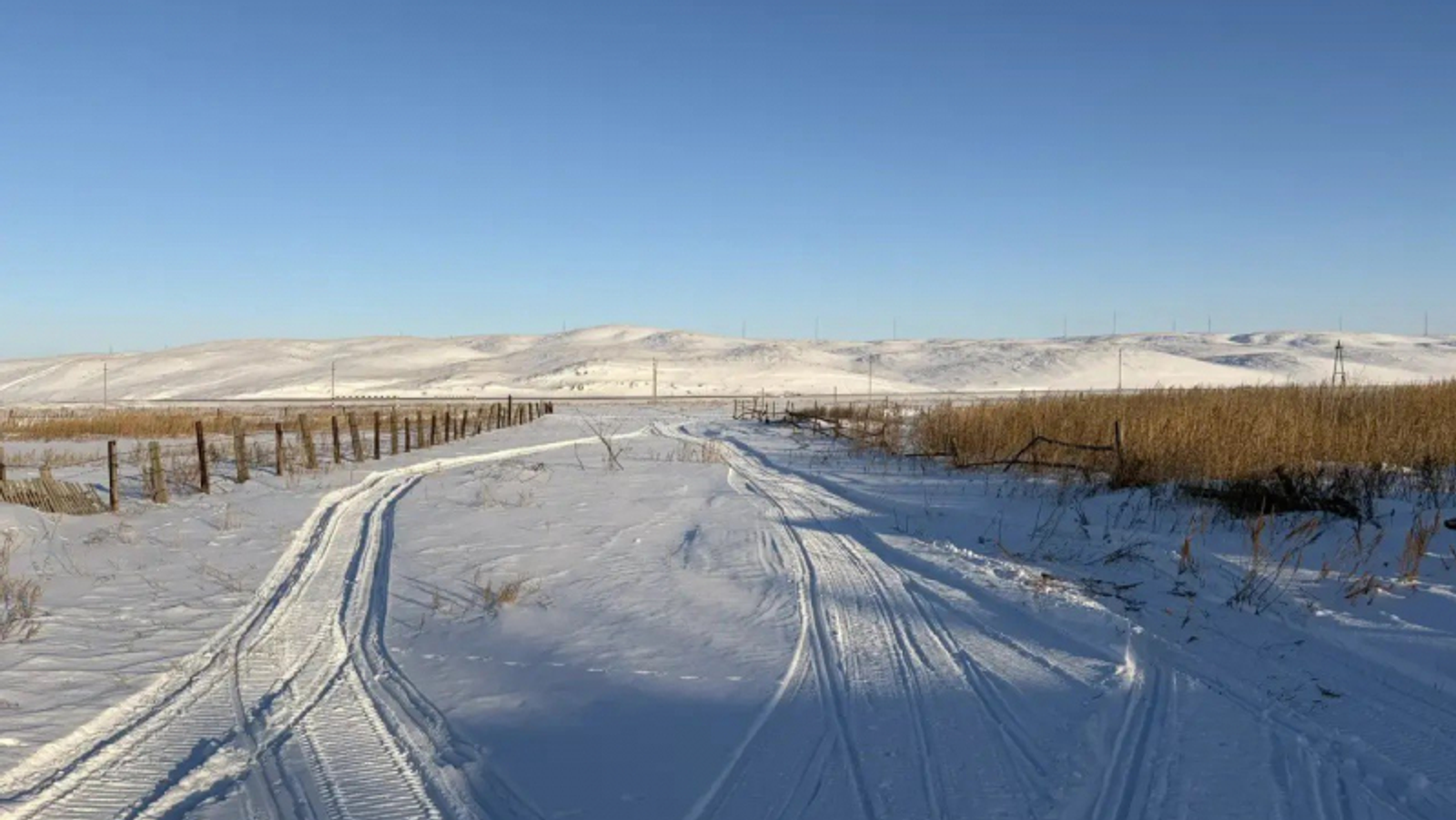 В Хайбуллинском районе возбуждено уголовное дело за незаконную добычу косули