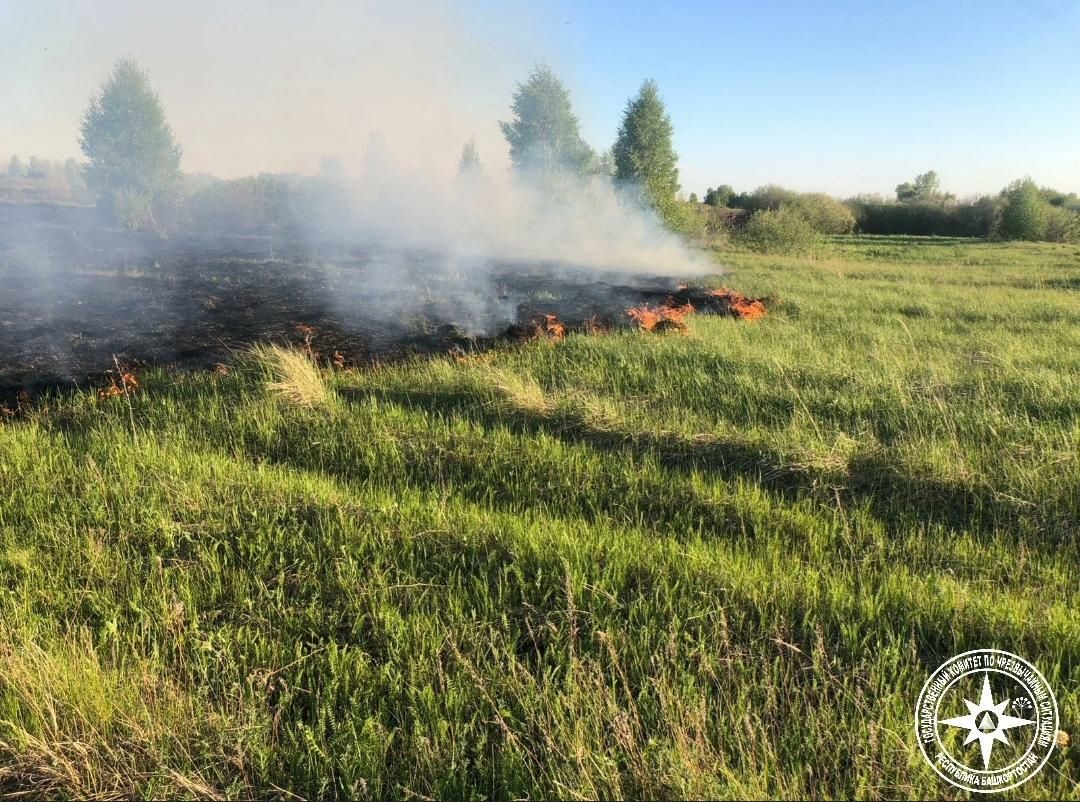 С начала года в Башкирии возникло 6 очагов лесных пожаров