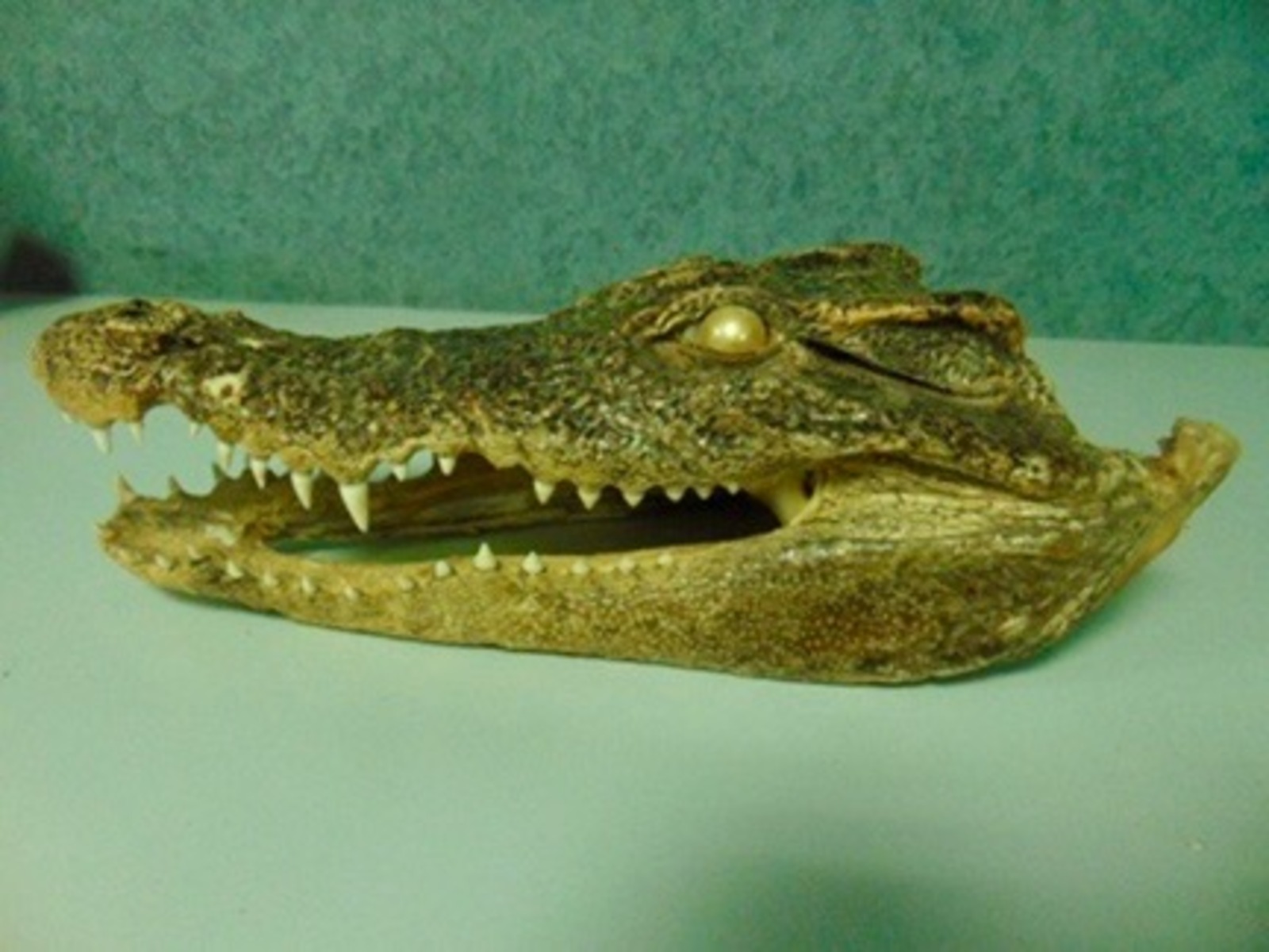 Башкортостанская таможня