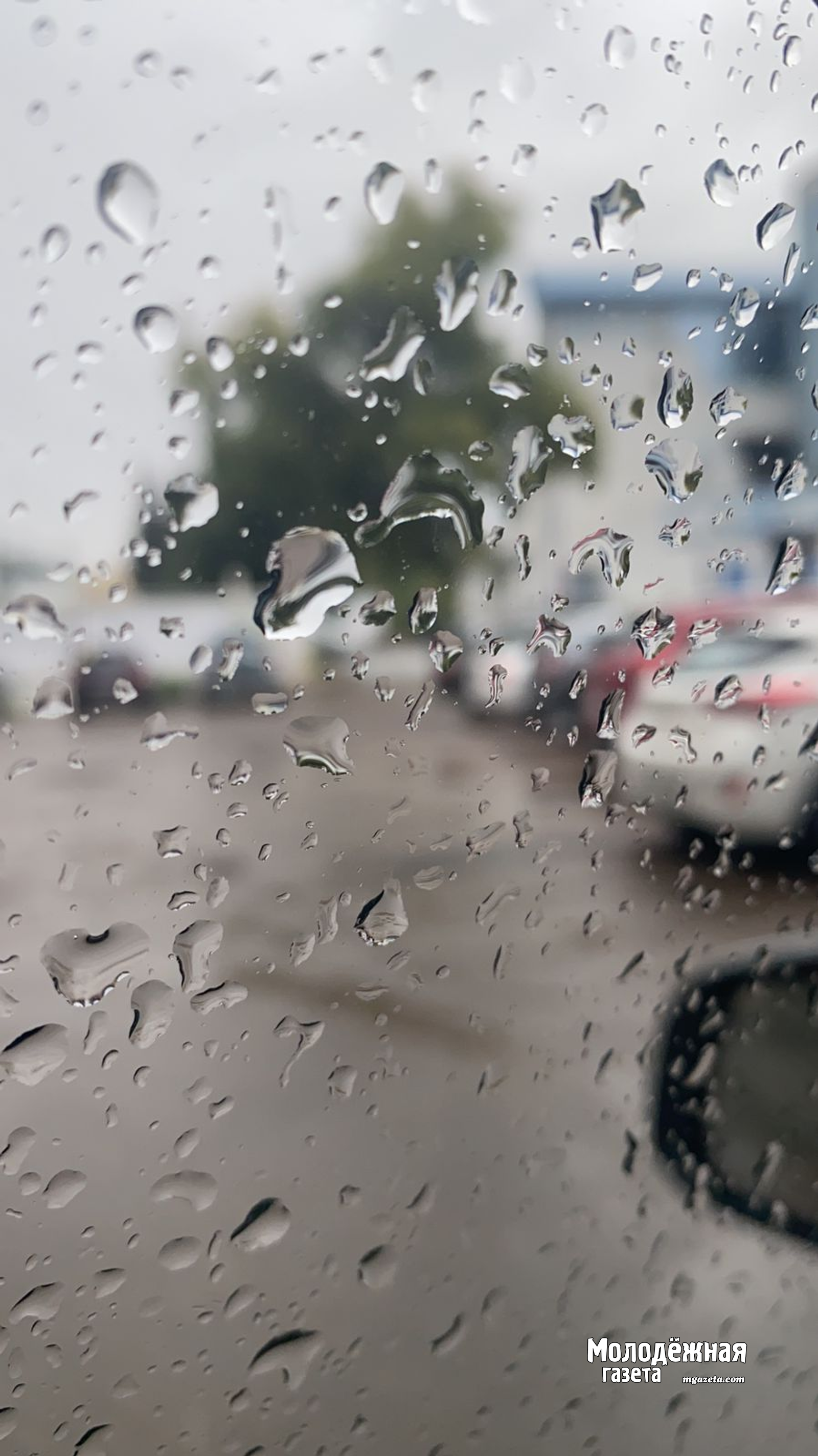 Башкирию накроют «южные» циклоны. Ожидаются дожди и подъем уровня рек