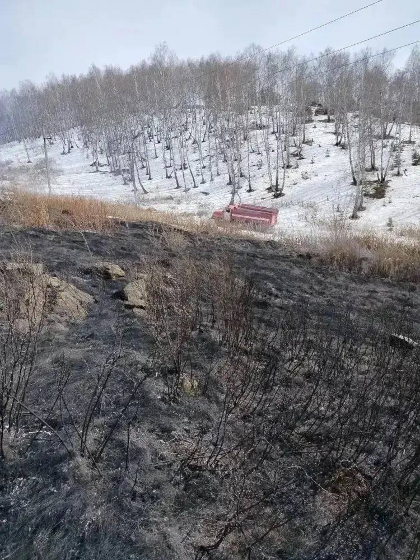 Первый в этом году ландшафтный пожар зафиксирован в Башкирии