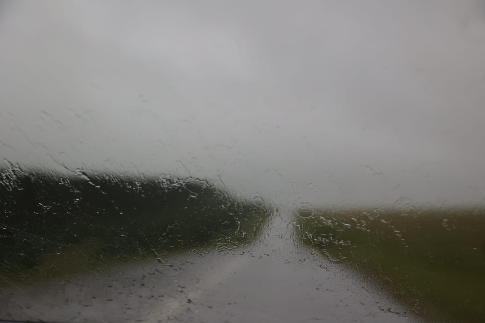 Розалия Хисаева fotobank02.ru