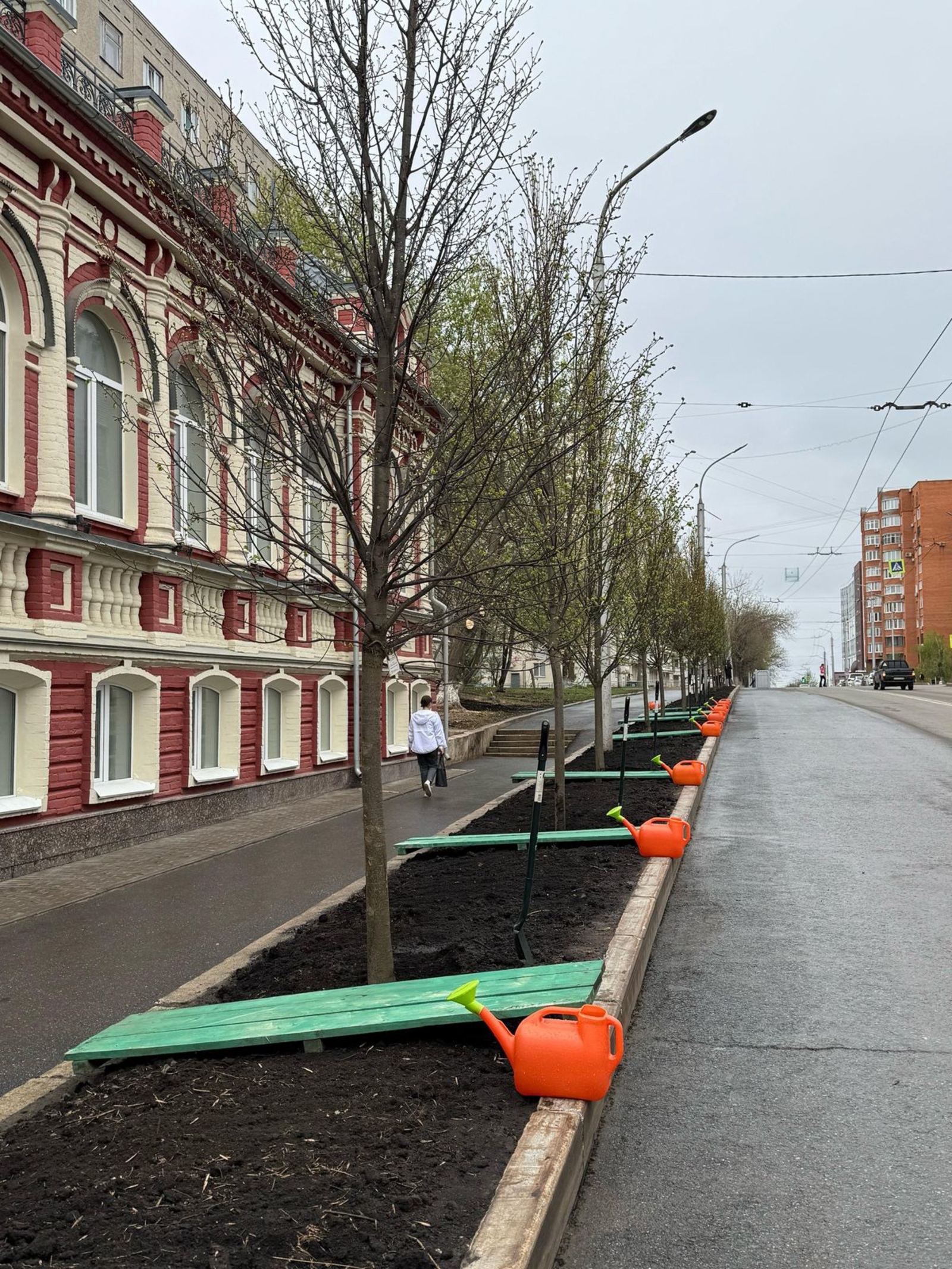 Писатели Башкирии посадили именные деревья