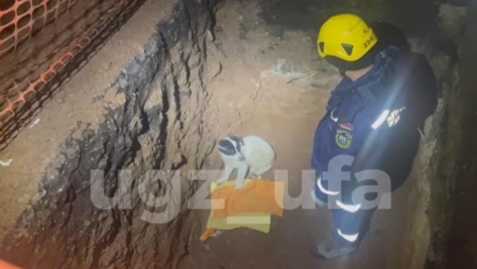 В Уфе провалившейся в яму собаке потребовалась помощь спасателей