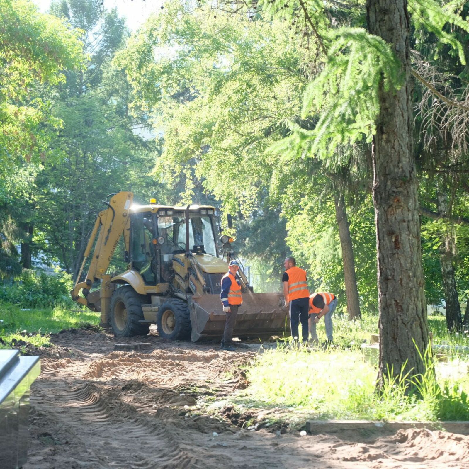 В парке Ленина в Уфе проведут масштабное кронирование деревьев